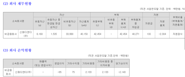 신화디앤디 재무현황