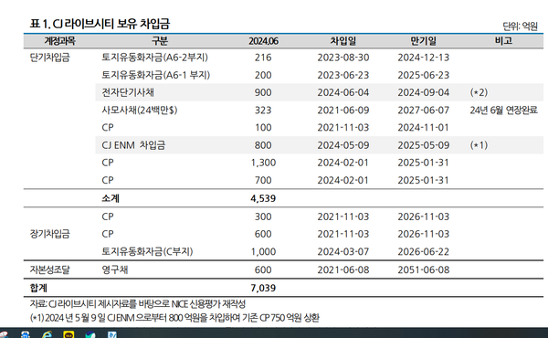 CJ라이프시티 차입금(나신평)