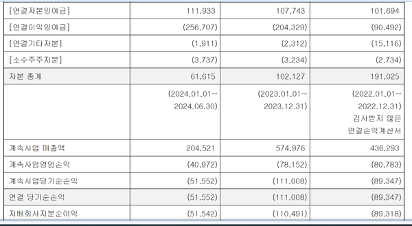 연속적자에 누적결손 등이 기록된 삼부토건 재무제표(단위 백만원)